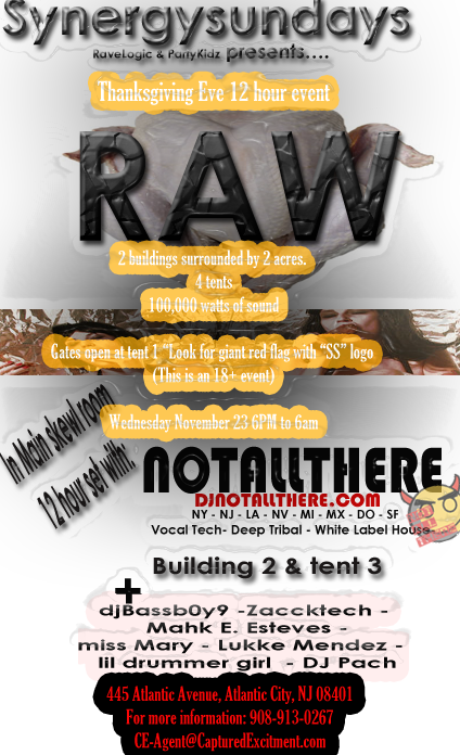 raw-tge-2011-djnotallthere-ac.png